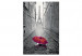 Wandbild zum Malen nach Zahlen Paris (Roter Regenschirm) 107333 additionalThumb 4