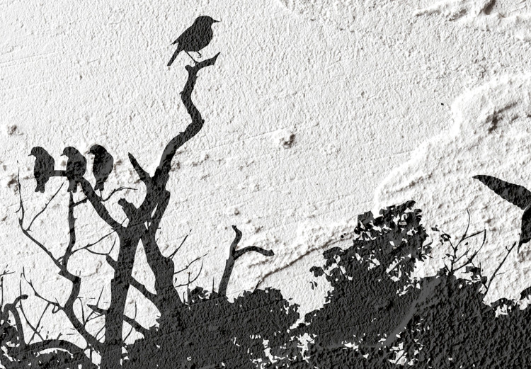 Obraz Ptasi azyl (1-częściowy) - cień drzewa na czarno-białym tle tekstury 117233 additionalImage 5