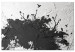 Obraz Ptasi azyl (1-częściowy) - cień drzewa na czarno-białym tle tekstury 117233