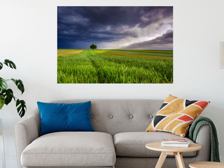 Wall Poster Field Before the Storm [Poster] 128533 additionalImage 4