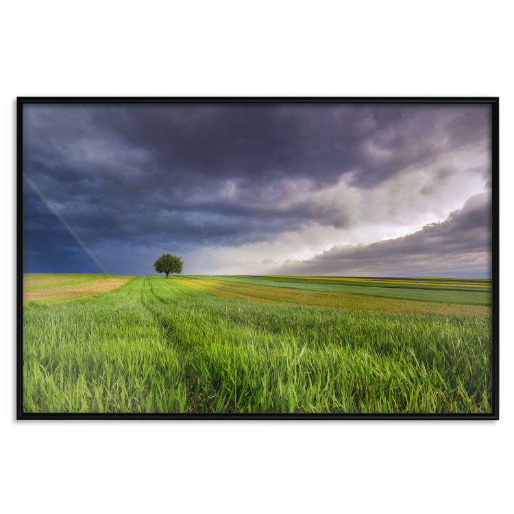 Wall Poster Field Before the Storm [Poster] 128533 additionalImage 18