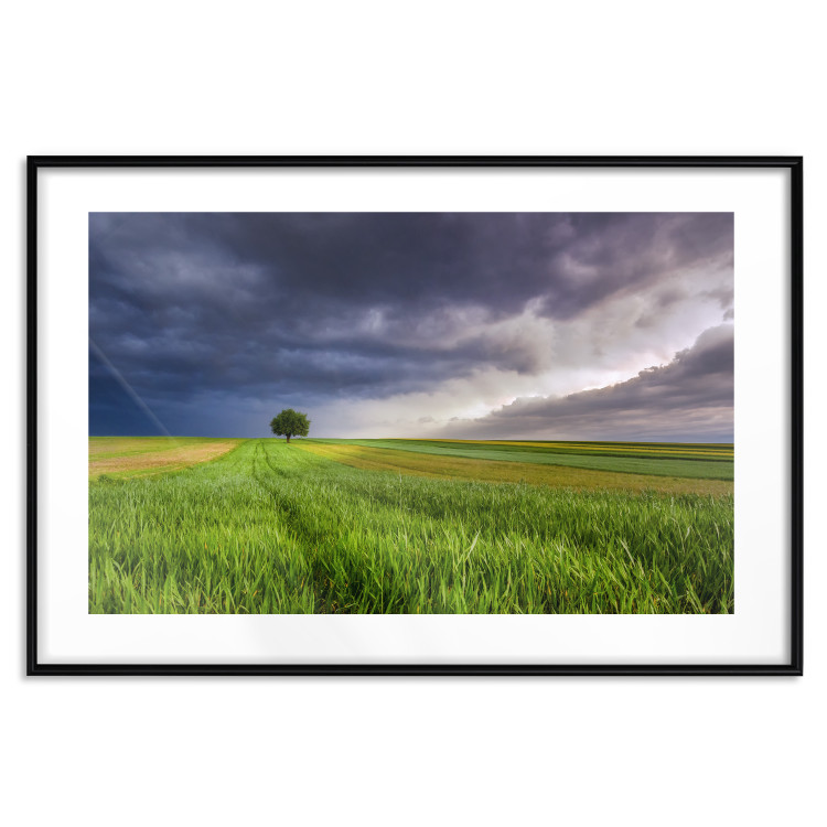 Wall Poster Field Before the Storm [Poster] 128533 additionalImage 17