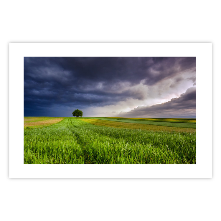 Wall Poster Field Before the Storm [Poster] 128533 additionalImage 25