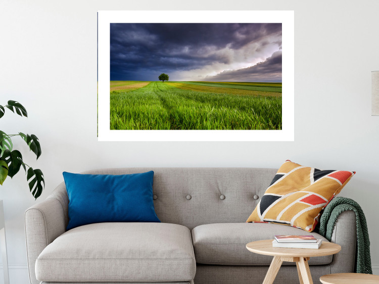 Wall Poster Field Before the Storm [Poster] 128533 additionalImage 5