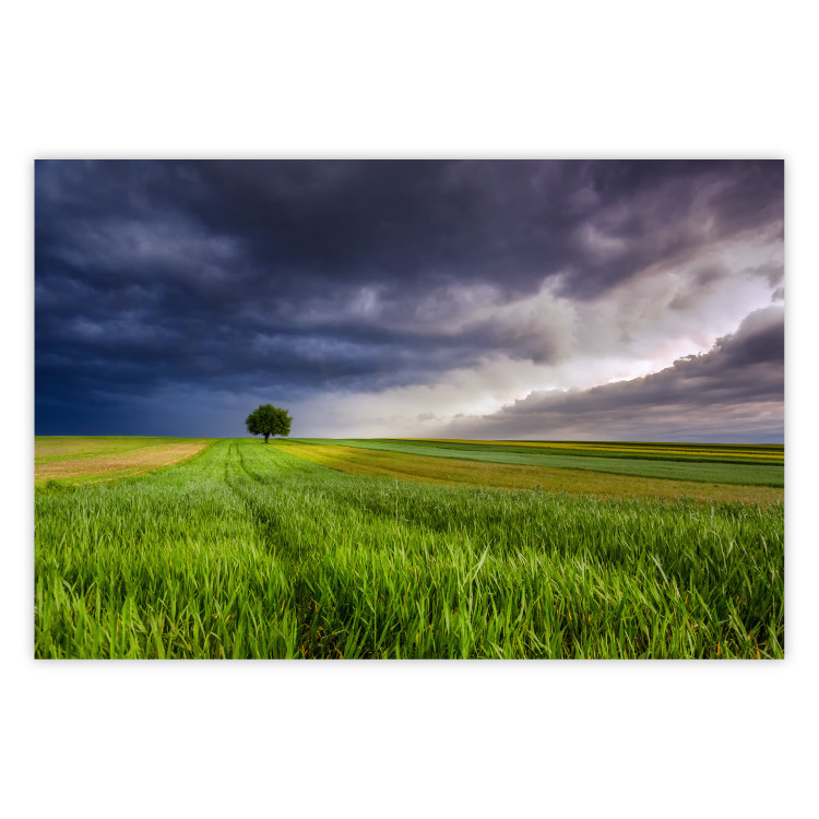 Wall Poster Field Before the Storm [Poster] 128533