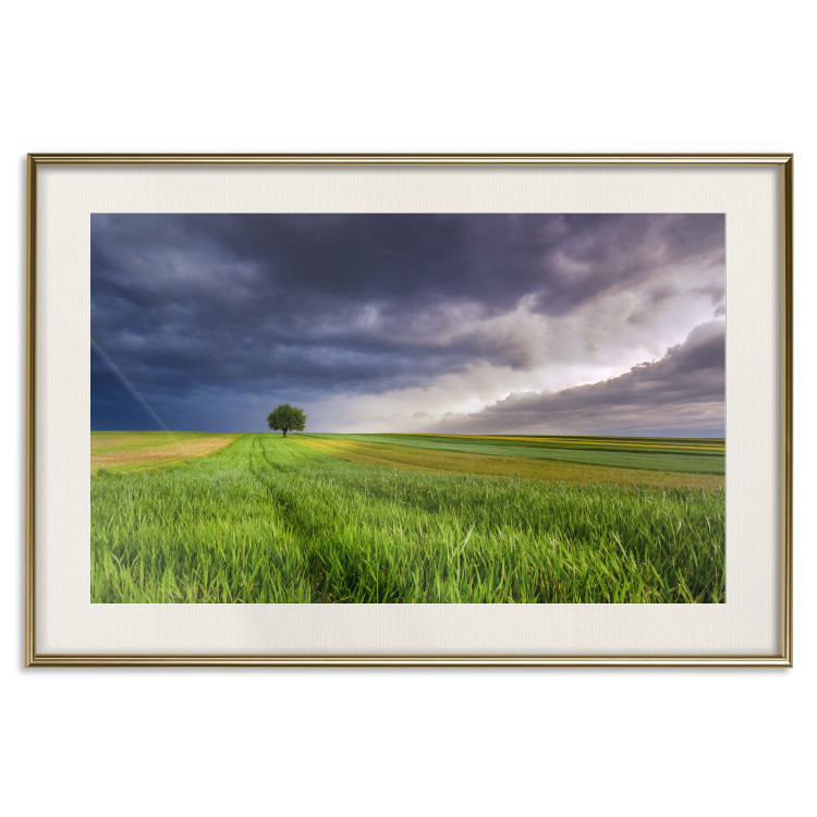 Wall Poster Field Before the Storm [Poster] 128533 additionalImage 20