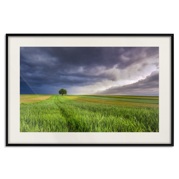 Wall Poster Field Before the Storm [Poster] 128533 additionalImage 19