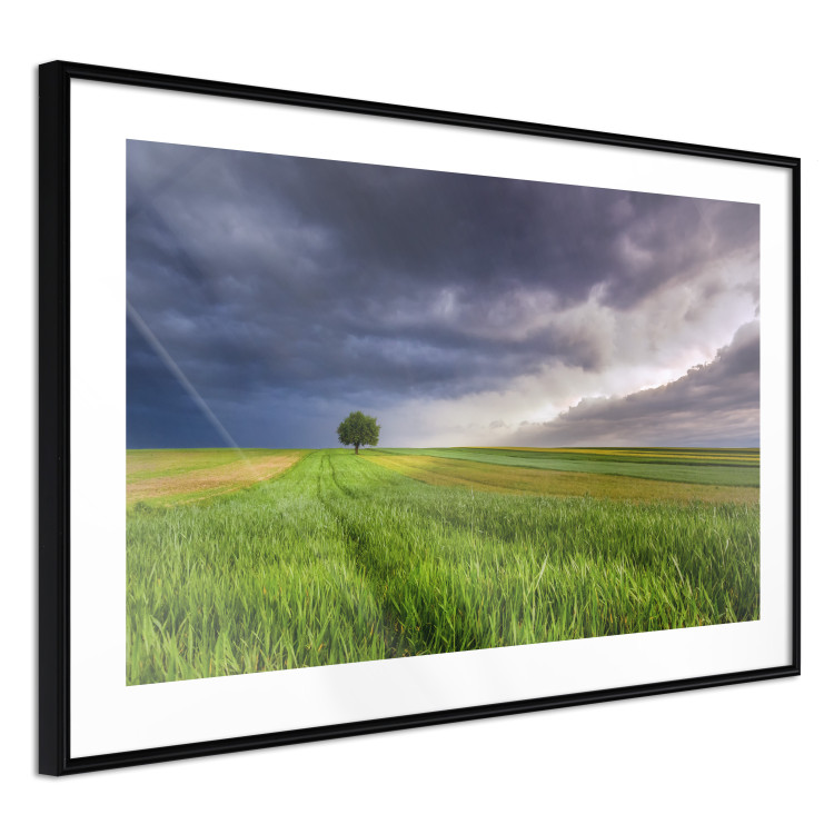 Wall Poster Field Before the Storm [Poster] 128533 additionalImage 8