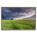 Wall Poster Field Before the Storm [Poster] 128533 additionalThumb 21