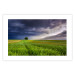 Wall Poster Field Before the Storm [Poster] 128533 additionalThumb 25