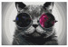 Kit de peinture Cat With Glasses 132033 additionalThumb 6