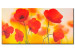Cuadro moderno Prado de amapolas (1 pieza) - flores rojas abstractas en prado 3D 46633