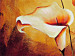 Tableau mural Callas : la subtilité et le chic 48833 additionalThumb 3