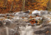 Wandbild Herbst und Wasserfall  58733 additionalThumb 4
