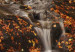 Wandbild Herbst und Wasserfall  58733 additionalThumb 3