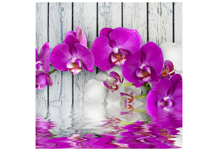 Wall Mural Violet orchids with water reflexion 60233 additionalImage 1