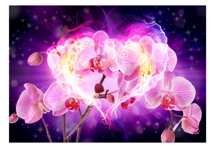 Wall Mural Orchids in Flames - Heart-shaped Flowers on an Abstract Background 60633 additionalImage 1