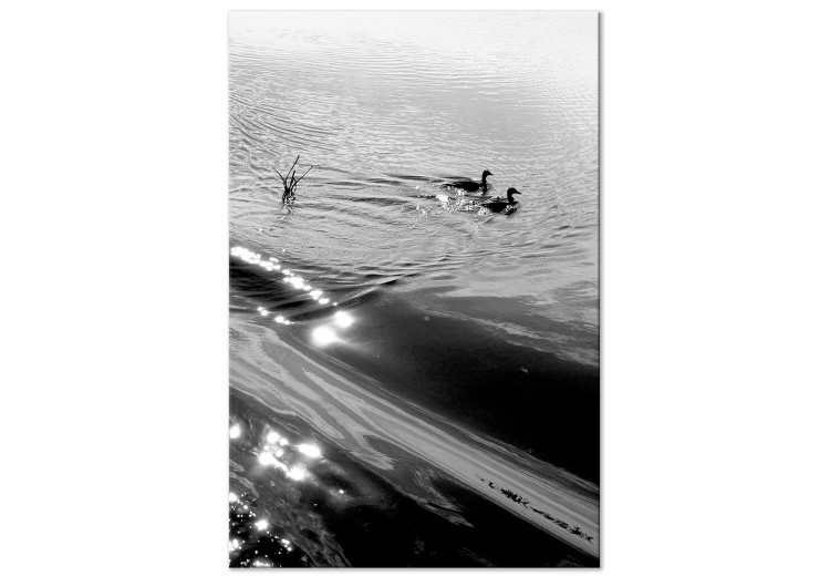 Canvas Duck's friendship - black and white photo of two birds in the water