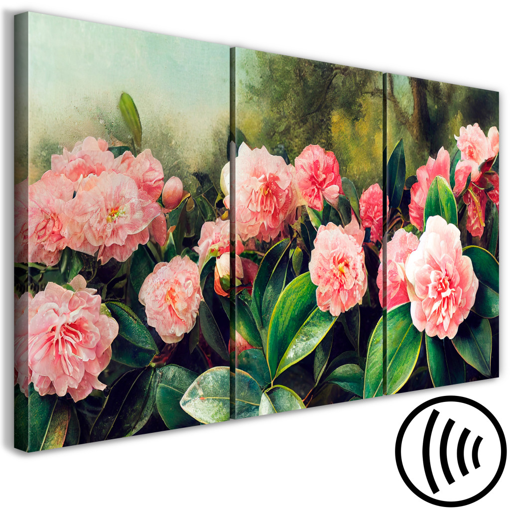 Schilderij  Bloemen: Tea Camellias - Colorful Flowers In Full Bloom