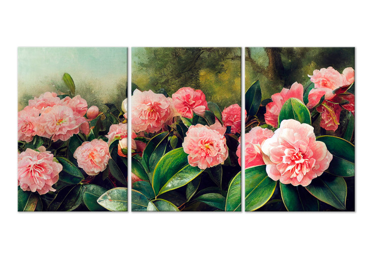 Quadro su tela Tea Camellias - Colorful Flowers in Full Bloom 149843
