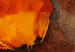 Tableau contemporain Subtilité des coquelicots (3 pièces) - Fleurs oranges sur fond brun 48643 additionalThumb 3