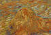 Tableau mural Paysage nocturne avec lune montante 52343 additionalThumb 3