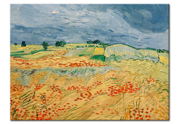 Wandbild Felder mit blühenden Mohnblumen  52543