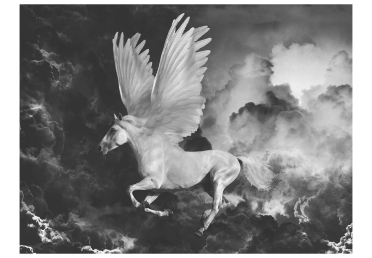 Foto Tapete Mythologische Fantasie - schwarz-weißer Hengst mit Flügeln in Wolken 59743 additionalImage 1