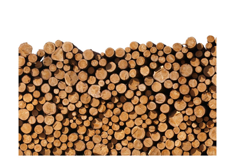 Wall Mural Woodpile 61043 additionalImage 1