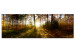 Wandbild Beautiful Forest  93943