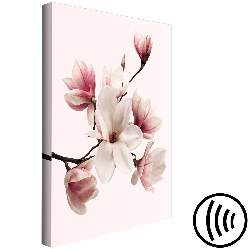 Schilderij  Magnolias: Begroeting Van De Lente (1-delige Serie) - Magnoliabloem In Een Zachte Tint
