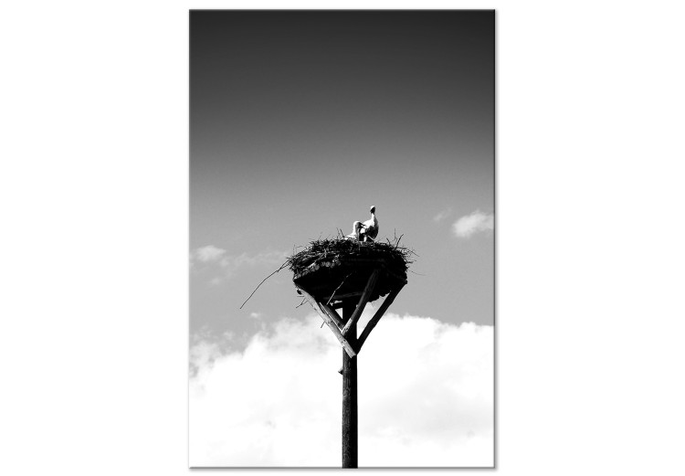 Quadro moderno Orizzonti genitoriali - foto in bianco e nero con uccelli e cielo 122353
