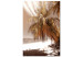 Obraz Palmowy cień (1-częściowy) pionowy 123753