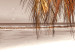 Obraz Palmowy cień (1-częściowy) pionowy 123753 additionalThumb 4