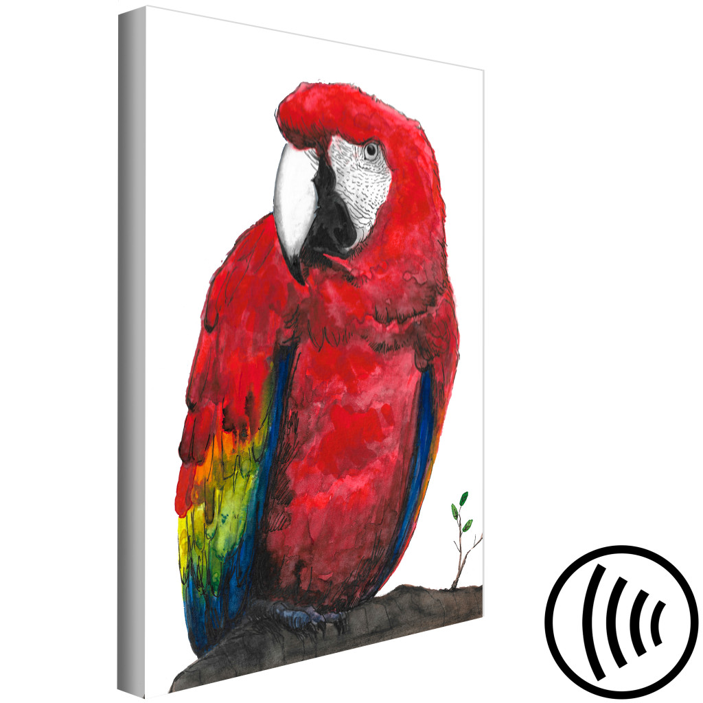Obraz Papuga (1-częściowy) Pionowy