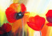 Quadro su tela Prato fiorito (1 parte) - motivo floreale con papaveri rossi 47153 additionalThumb 3