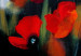 Quadro su tela Prato fiorito (1 parte) - motivo floreale con papaveri rossi 47153 additionalThumb 4