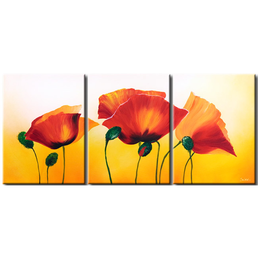 Schilderij  Klaprozen: Zonnige Natuur (3-delig) - Bloemencompositie Op Een Lichte Achtergrond