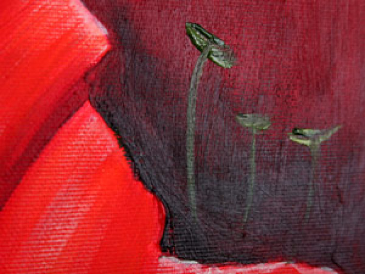 Cuadro moderno Flores rojas (3 piezas) - arreglo de tulipanes en fondo pastel 48653 additionalImage 2