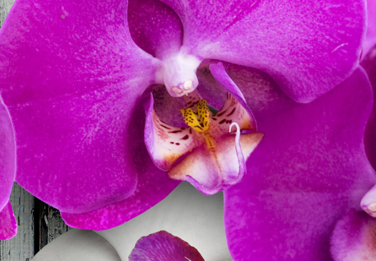 Cadre déco Harmony: orchid - Triptych 50453 additionalImage 5