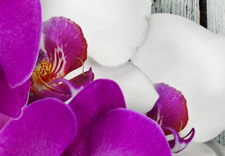 Cadre déco Harmony: orchid - Triptych 50453 additionalImage 4