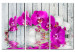Bild auf Leinwand Harmonie: Orchidee - Triptychon 50453