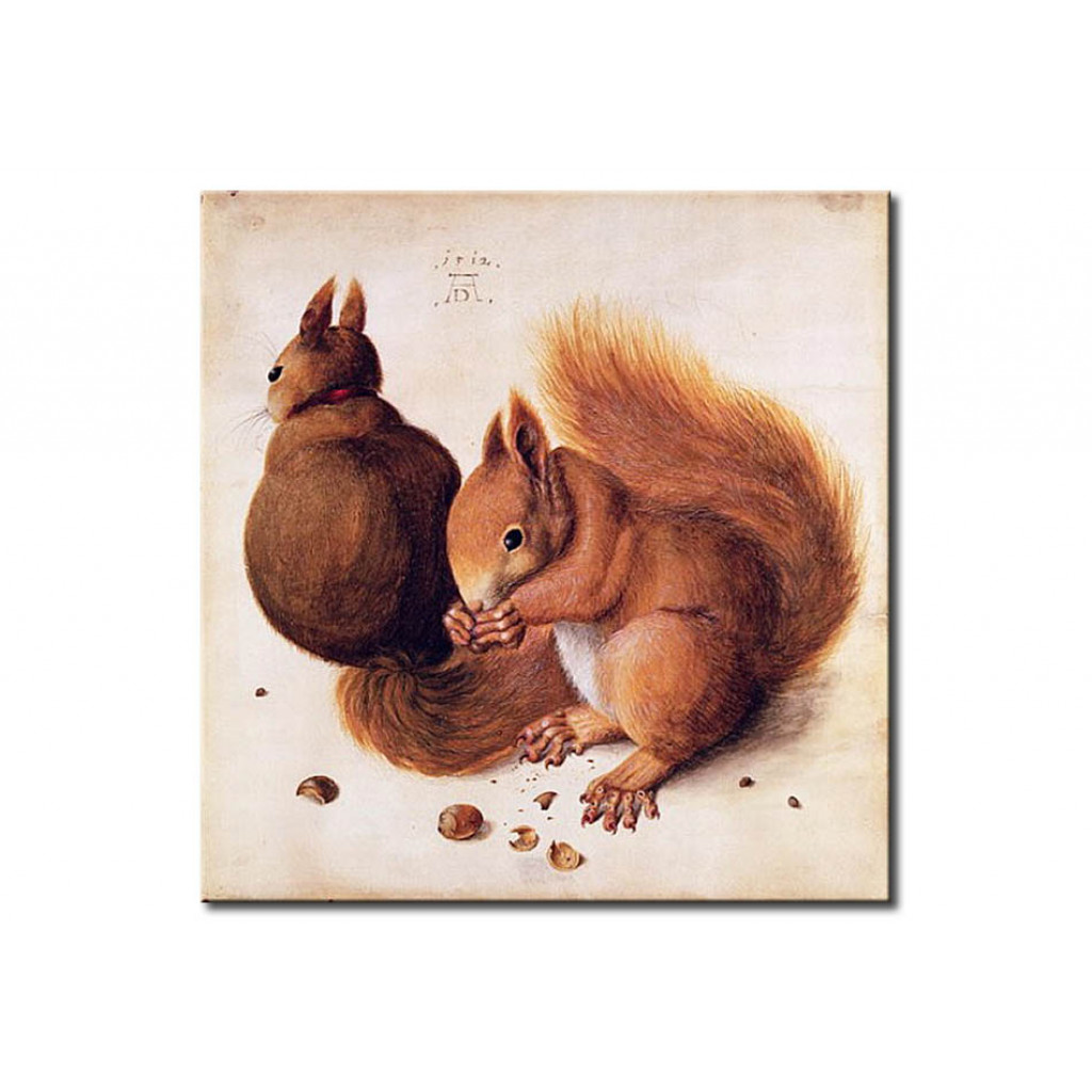 Schilderij  Albrecht Dürer: Squirrels