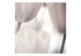 Carta da parati moderna Tulipani - primo piano dei fiori di tulipani nelle tonalità sobrie 60353 additionalThumb 1