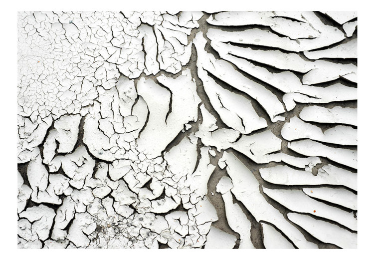Fototapeta Oznaka płynącego czasu - tekstura pękającej wyschniętej białej farby 61053 additionalImage 1