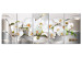 Leinwandbild Blooming Orchids 106863