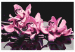 Cuadro para pintar por números Orquídea rosa (fondo negro) 107163 additionalThumb 7