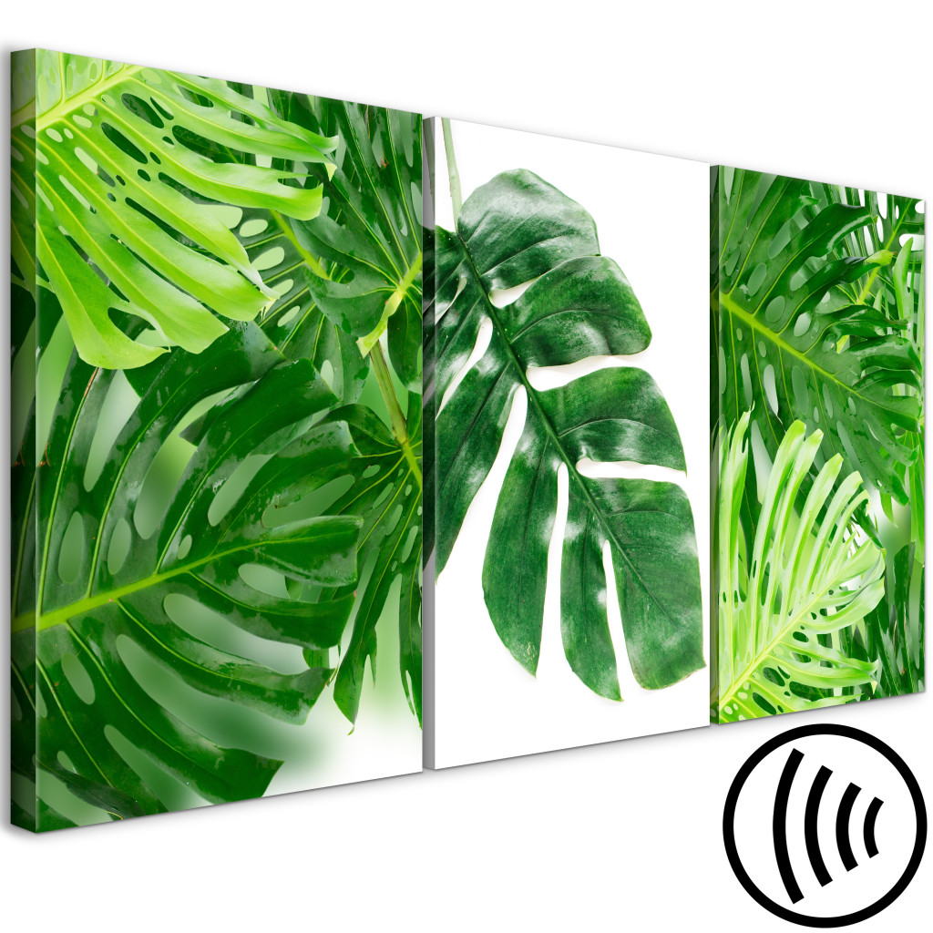 Schilderij  Bomen: Palm Leaves (3 Parts)
