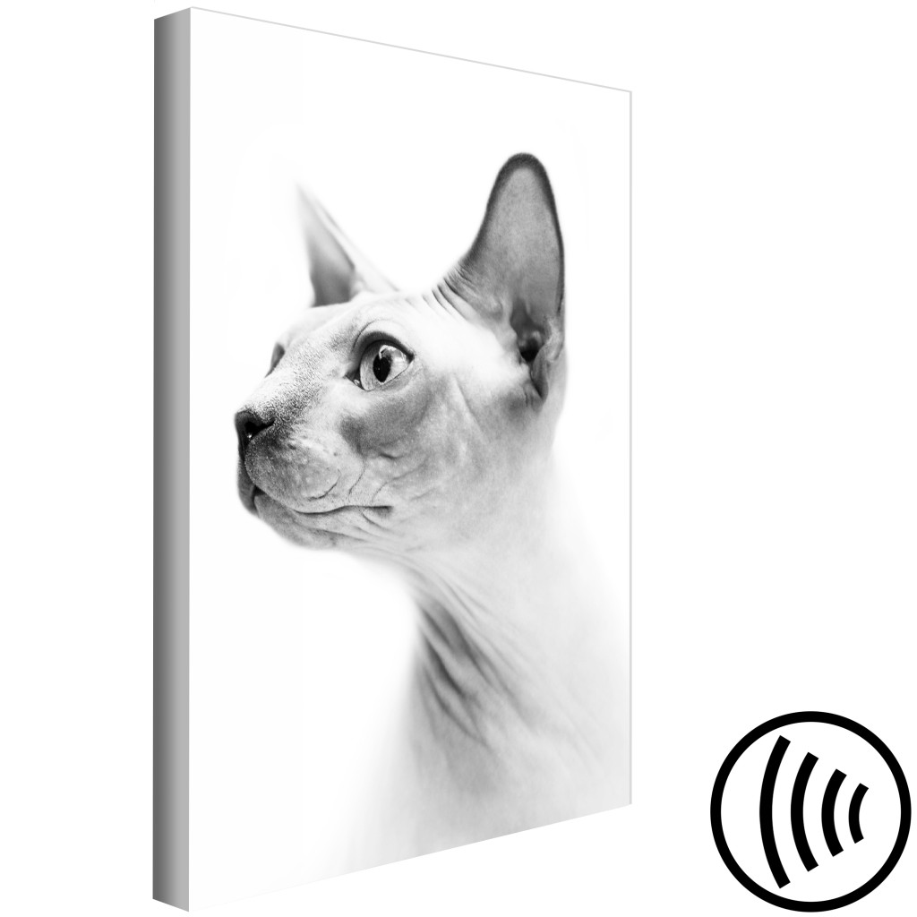 Quadro Em Tela Esfinge Pensiva - Retrato A Preto E Branco De Um Gato, Fundo Branco