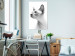Obraz Zadumany sfinks - czarno-biały portret kota bez sierści na białym tle 116463 additionalThumb 3